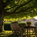 tailler un tilleul en parasol ombre jardin