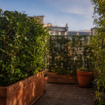 Brise vue plante persistante en terrasse urbaine